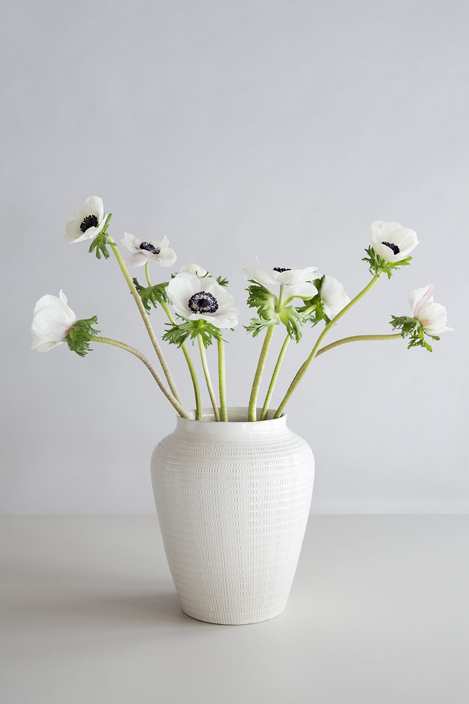 Large glazed white vase with white flowers.