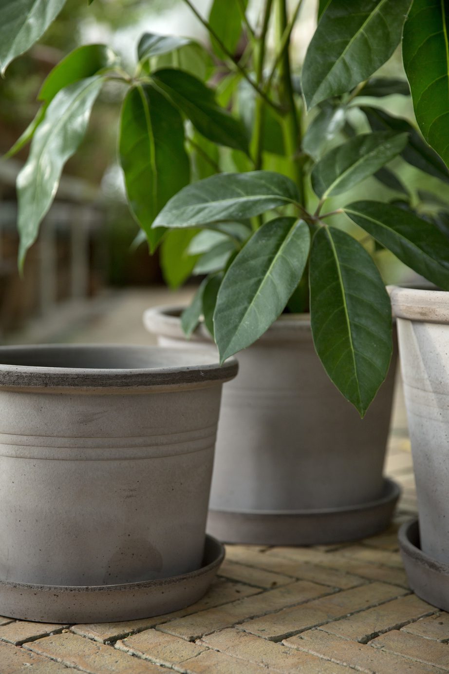 Grey pots with plants and subtle lines.