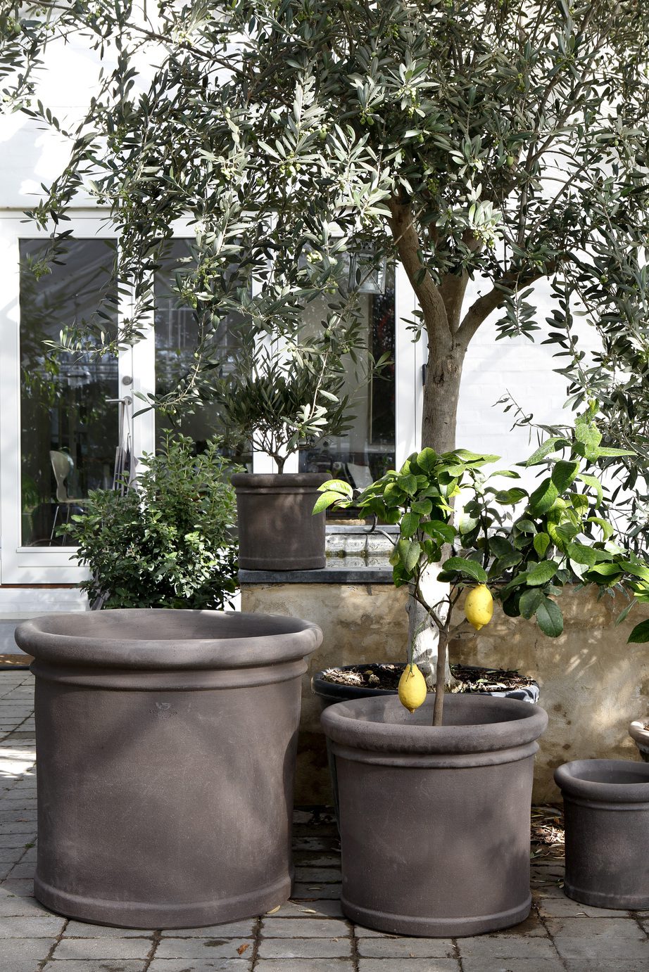 Collection of grey outdoor pots with trees