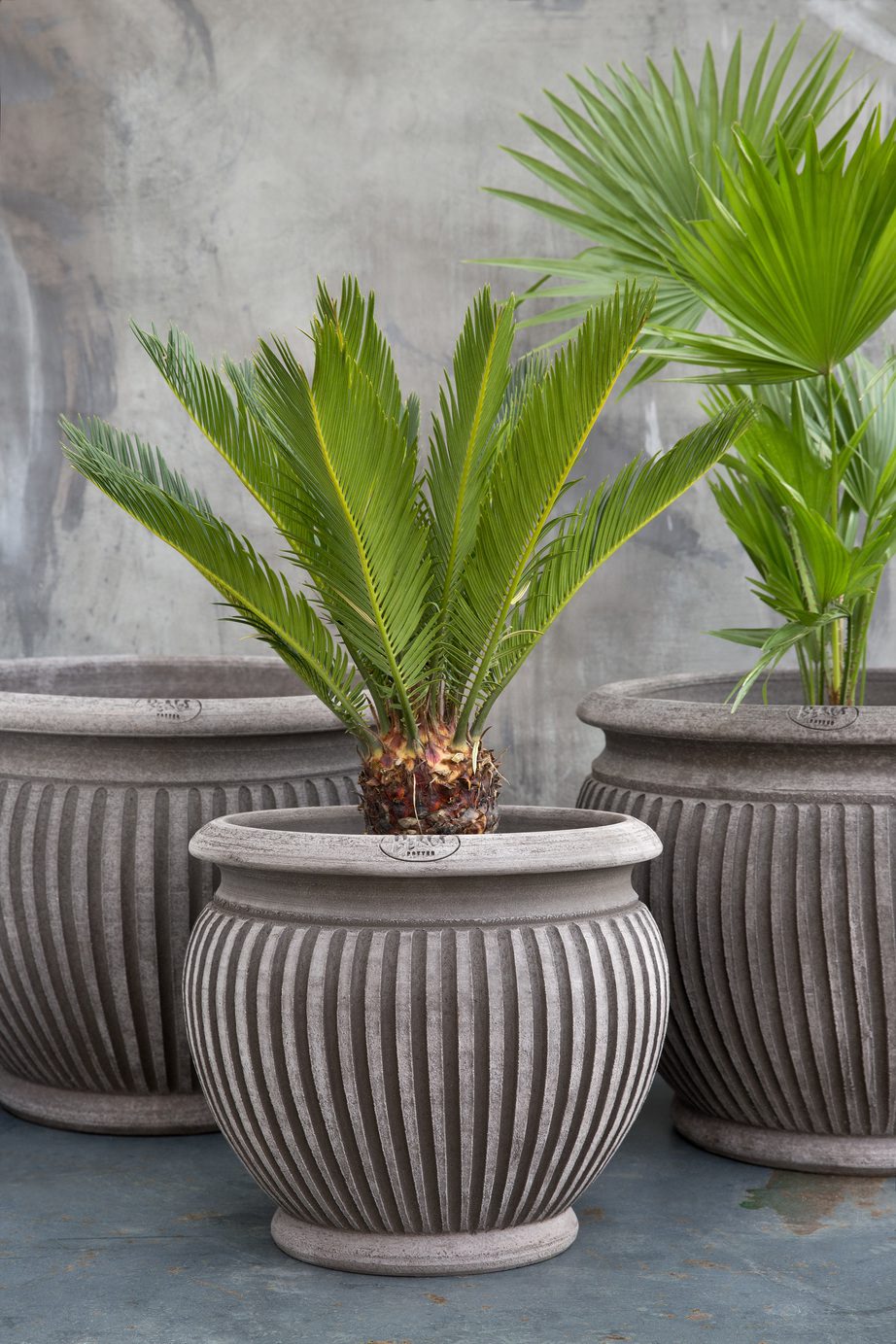 Three grey curved pots with vertical lines and two palm trees