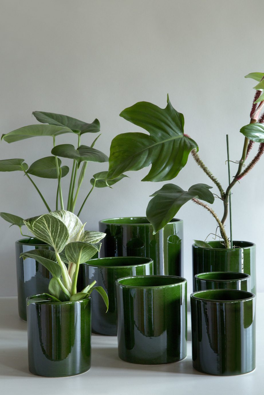 Collection of green glazed cylindrical flowerpots and vases with green plants