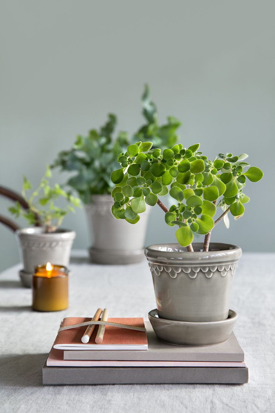 Glazed pearl grey pots with plants in a lifestyle setting.