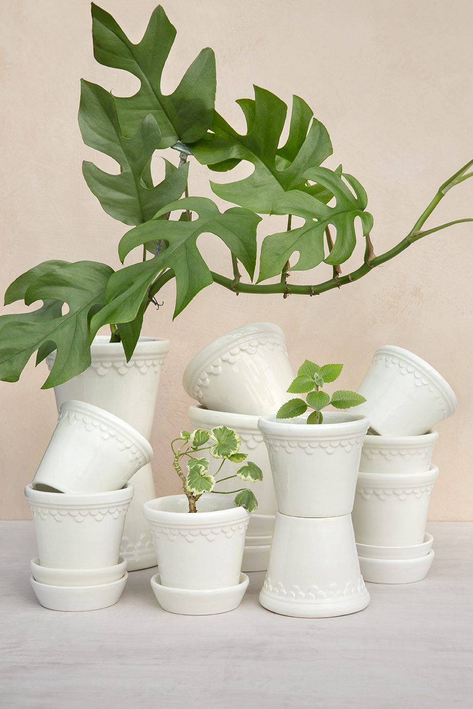 Collection of glazed white pots with green plants and leaves.