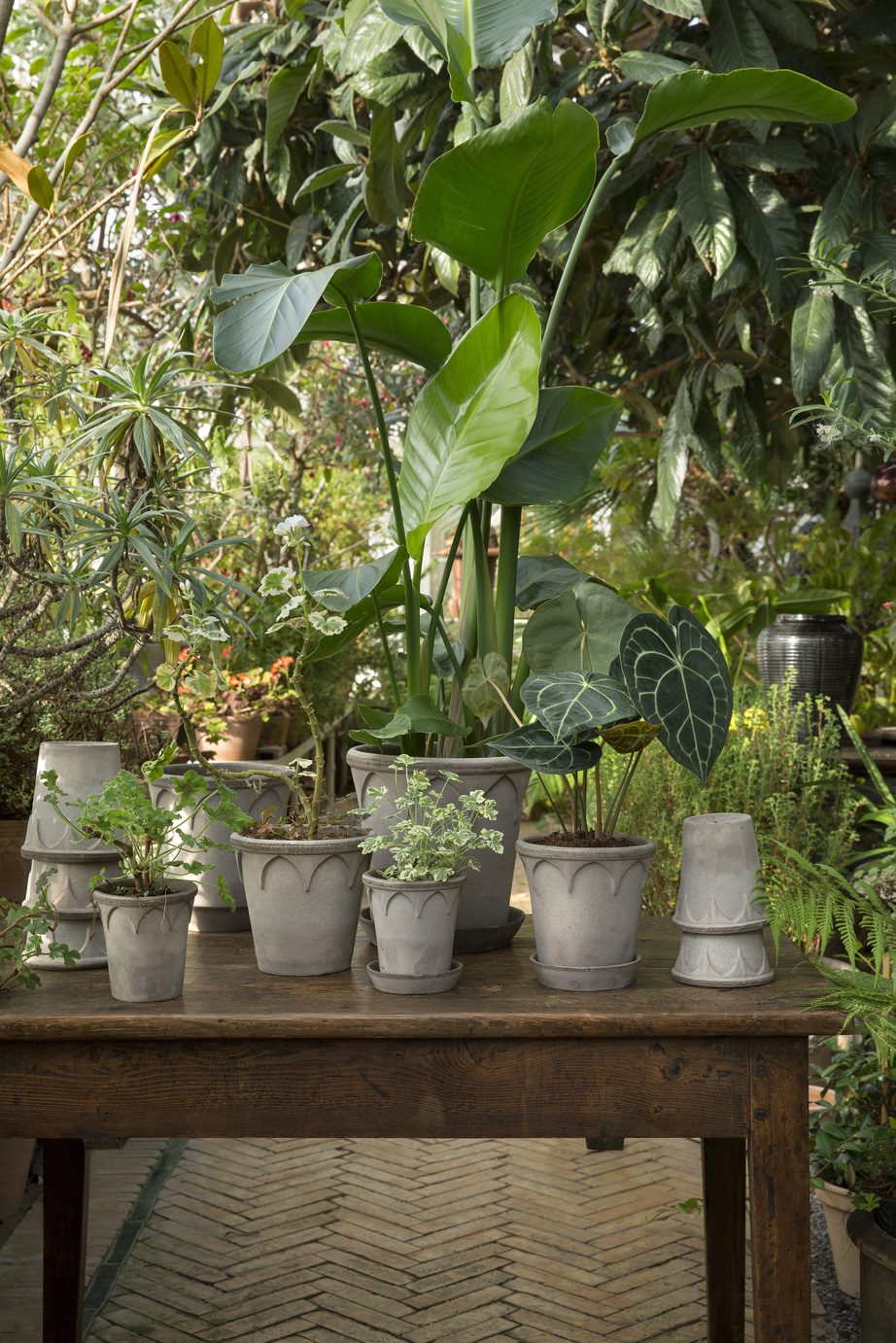 A collection of grey pots is arranged on a table surrounded by plants.