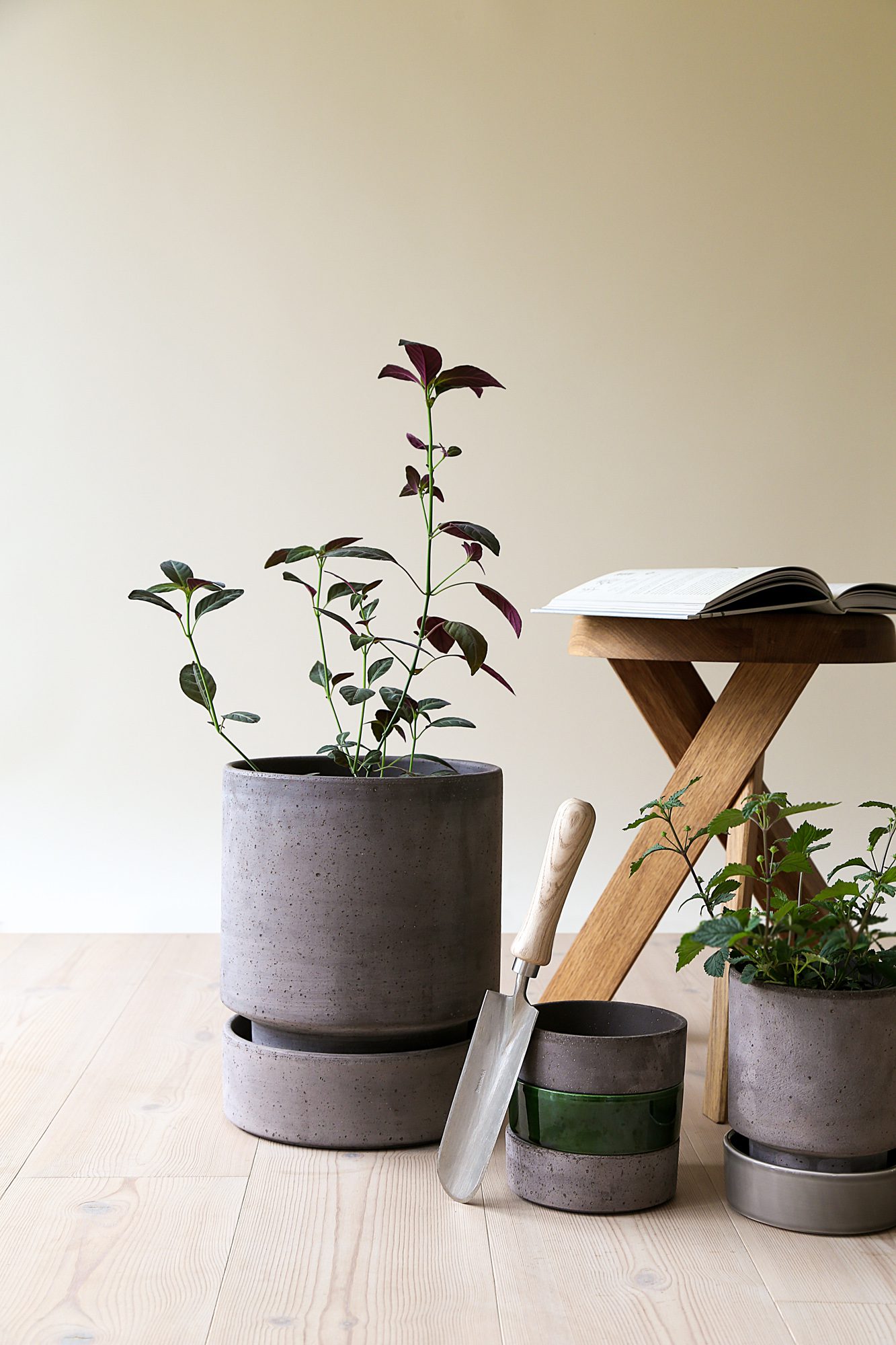 Hoff pots with plants next to chair