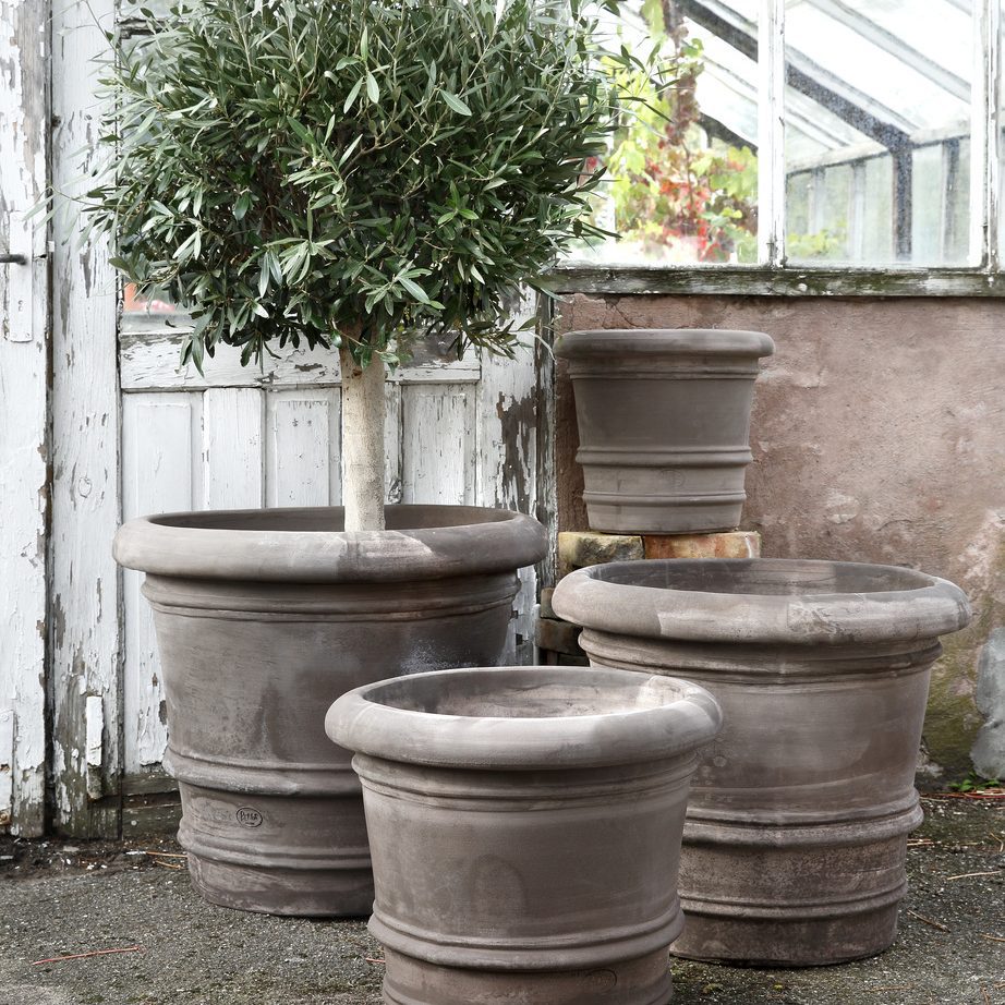 Outdoor pots in greenhouse