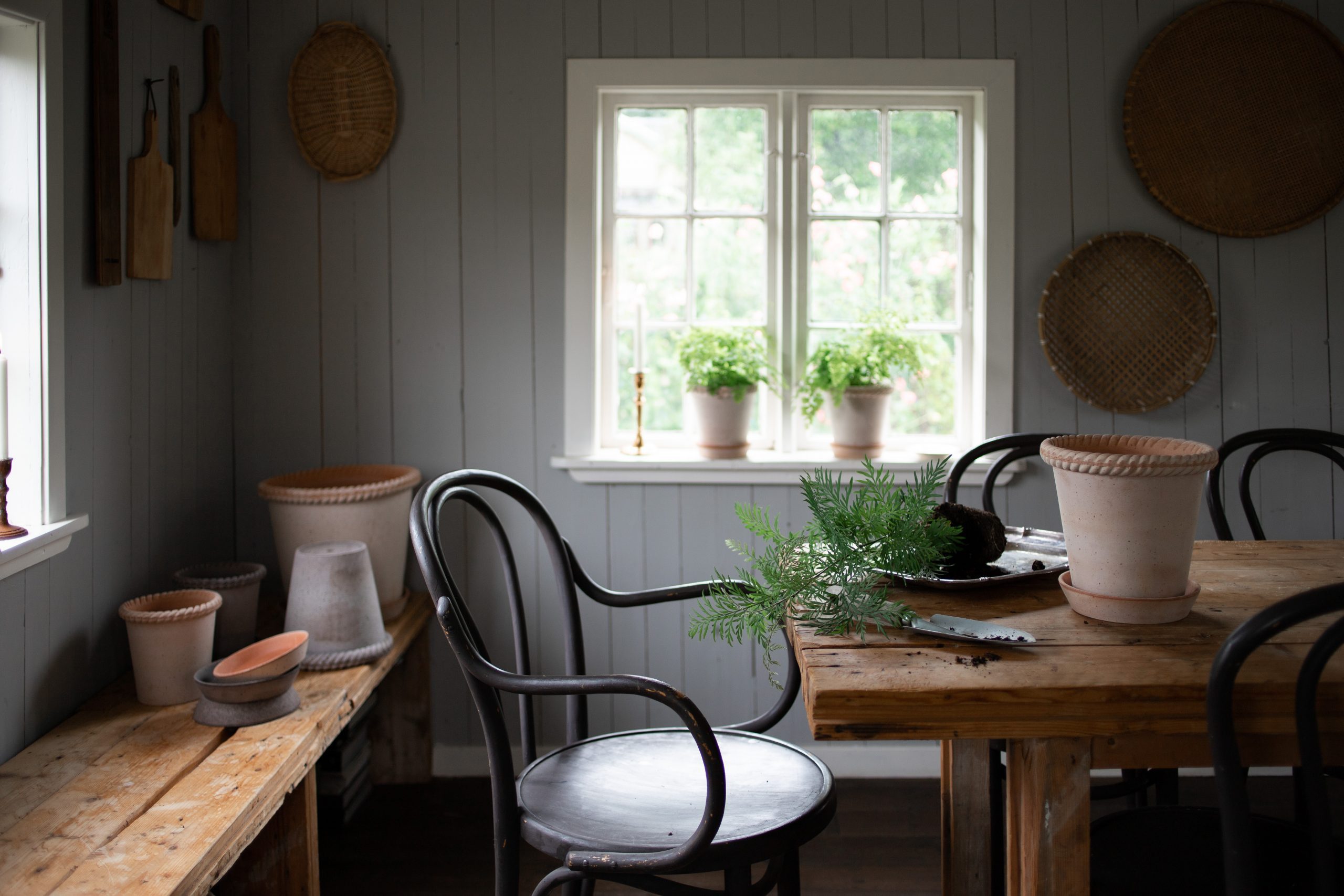 Elin Lannsjö: The Home Where Dahlia Grows