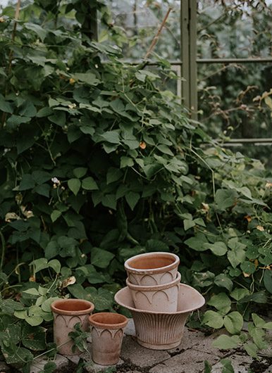 Two terracotta pots designs 'Elizabeth' and the 'Daisy' pots by Bergs Potter in front of a green conservatory. Photo: Anna Kubel.